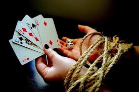 Вход на зеркало DBbet Casino
